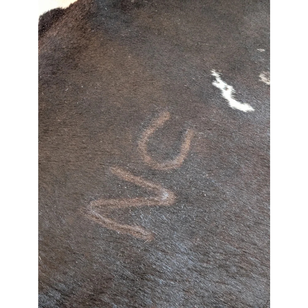 Dark brown textured large cowhide rug with faint lighter u shaped markings and wavy line in beautiful cowhide