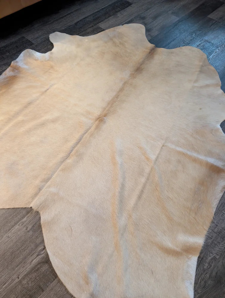 Cream-colored large cowhide rug with natural irregular edges and unique characteristics in a 73 by 73 inch size