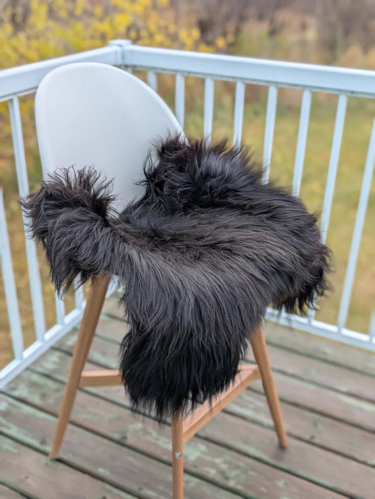 Black icelandic sheepskin chair throw draped over white chair with wooden legs for extra large sheepskin chair pads