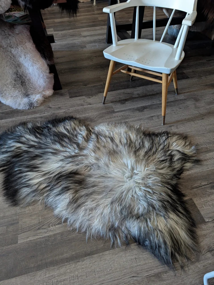 A plush fall#1 60 x 35 inch long wool icelandic sheepskin rug in natural grey tones with gray black and white fur on floor