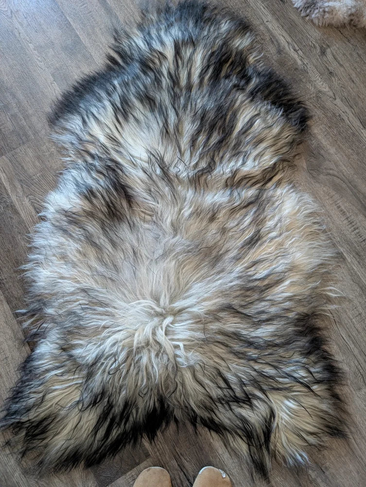 A plush fall1 60 x 35 long wool icelandic sheepskin rug in natural grey with white gray and black fur