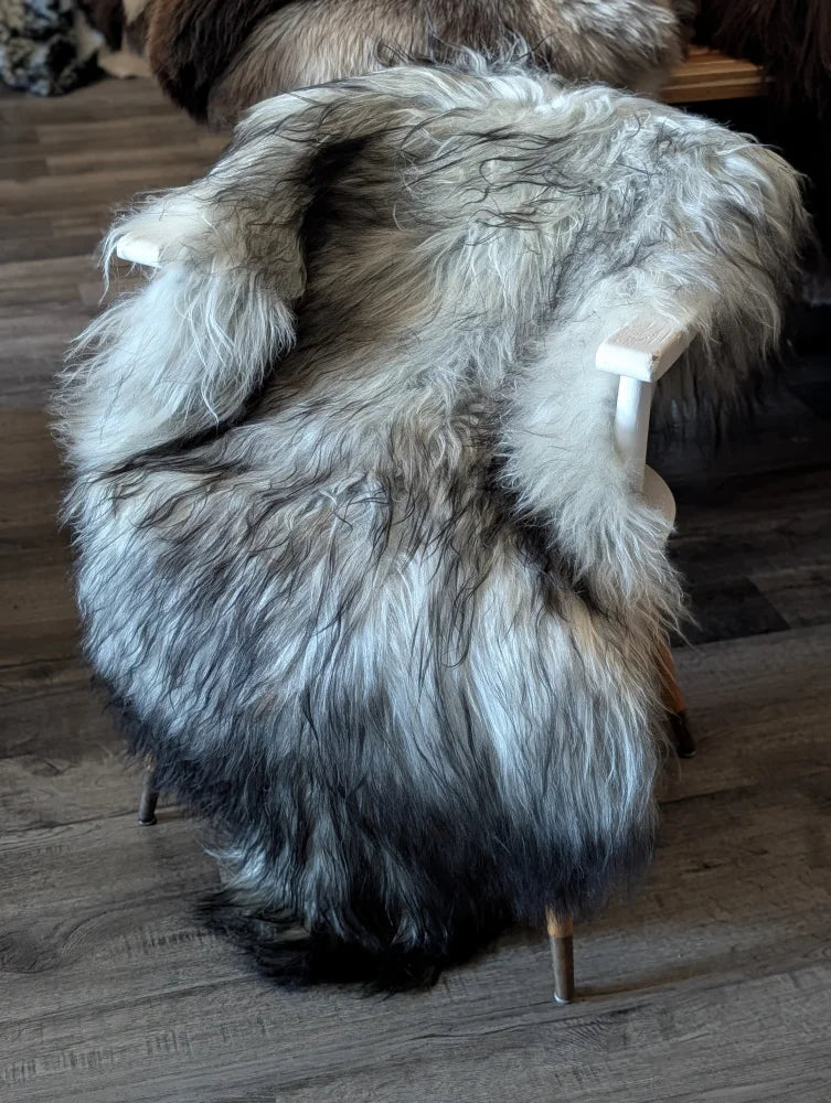 A plush long wool icelandic sheepskin rug in natural grey draped over a white wooden chair backrest
