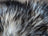 A plush long wool icelandic sheepskin in natural gray with black white strands perfect for cozy decor