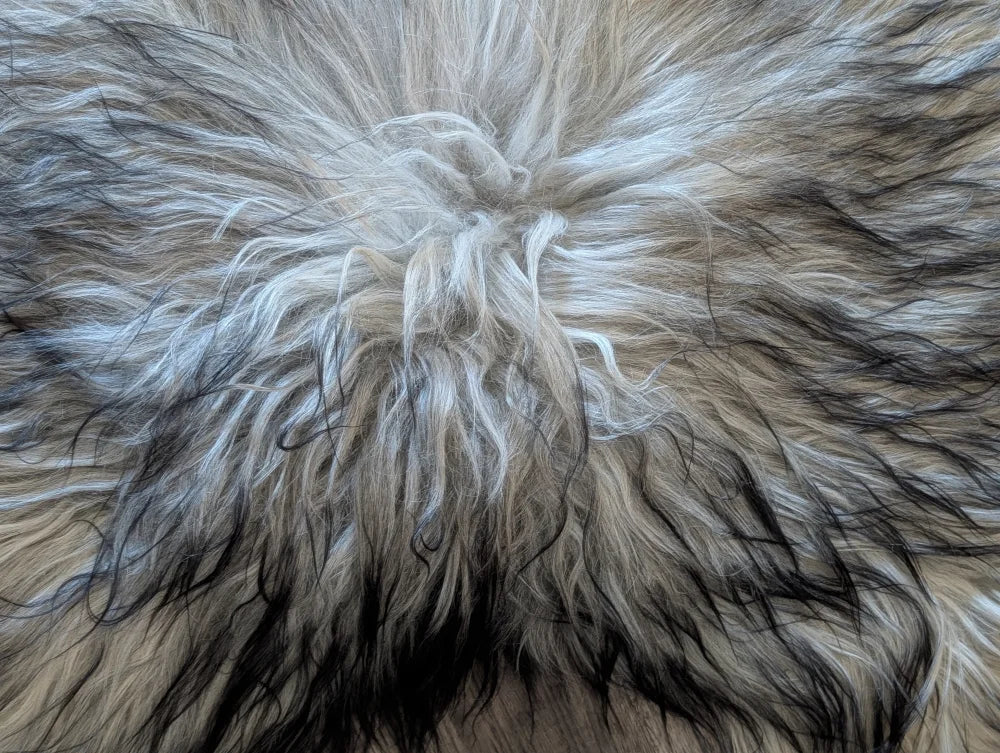 A plush fall1 icelandic sheepskin rug with natural grey long wool icelandic texture in white gray and black strands