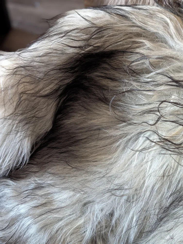 Fluffy long-haired dog with gray and black fur sitting on a fall 60 x 35 massive natural grey wool icelandic sheepskin rug