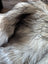 Fluffy long-haired dog with gray and black fur sitting on a fall 60 x 35 massive natural grey wool icelandic sheepskin rug