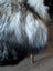 A plush long wool icelandic faux fur coat in gradient white to black with brown tones from massive icelandic sheepskins