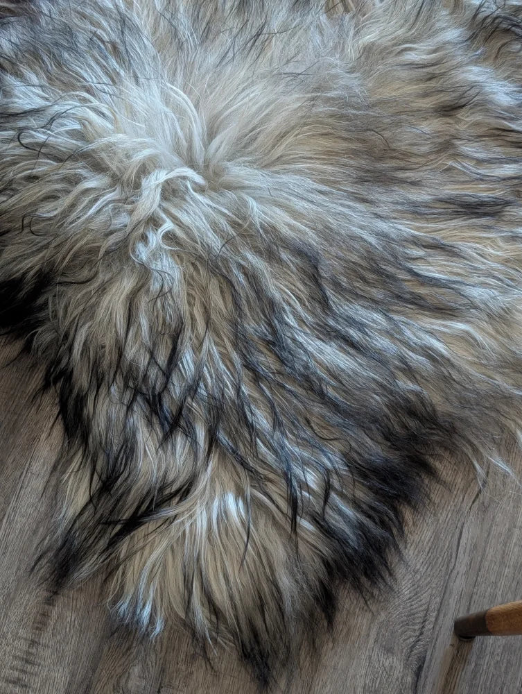 A plush fall#1 60 x 35 massive icelandic sheepskin rug with long wool icelandic cream gray and black fur texture