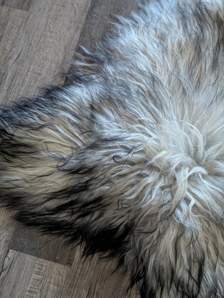 A plush fall1 60 x 35 massive icelandic sheepskin rug with long wool icelandic natural grey tones