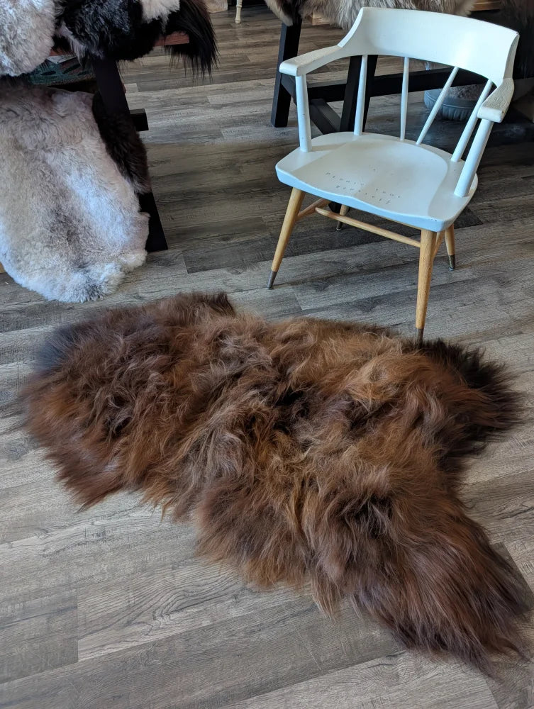 A plush irregular brown wool icelandic sheepskin rug with long thick fur on wooden floor fall 10 58 x 34 inches