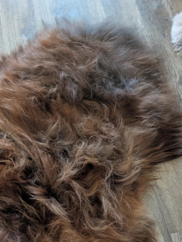A massive natural dark rusty icelandic sheepskin rug with soft wool icelandic shaggy texture measuring 58 by 34 inches