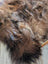 A plush shaggy icelandic sheepskin rug in natural dark rusty tones with wool icelandic texture for cozy decor