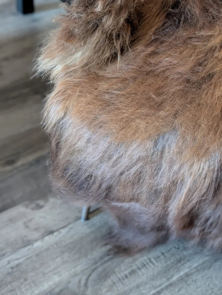 A fluffy long-haired dog lying on a massive natural dark rusty icelandic sheepskin with rich wool icelandic texture