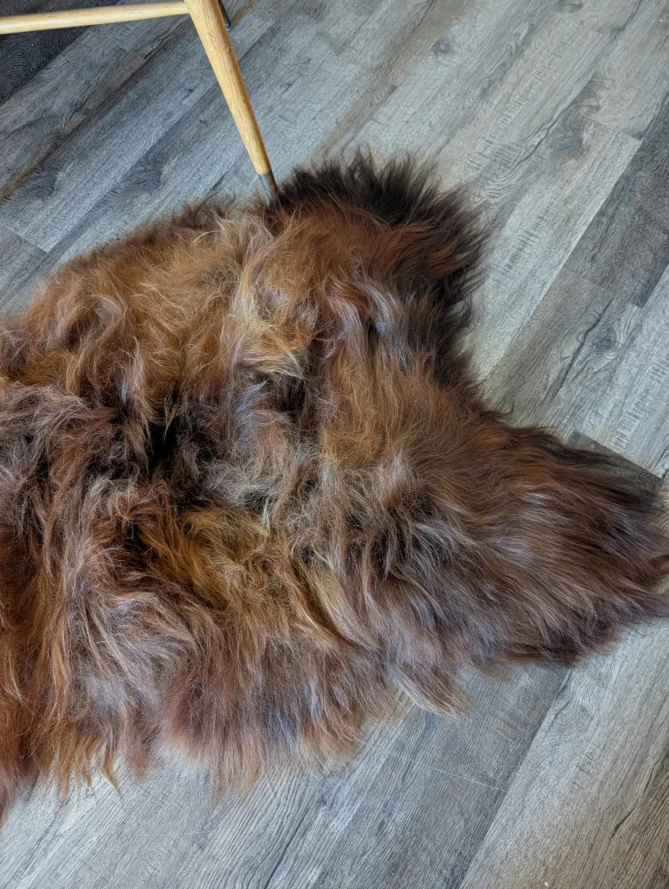A plush irregular brown icelandic sheepskin rug with thick shaggy wool on gray wood floor fall 10 58 x 34