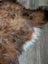 A plush icelandic sheepskin rug in natural dark rusty brown and white with soft wool icelandic texture measuring 58 by 33 inches