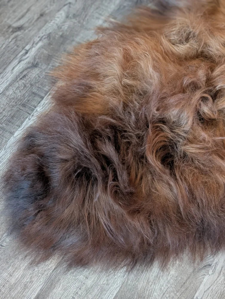 A plush naturally colored brown icelandic sheepskin rug with soft curly texture perfect for cozy wool icelandic decor