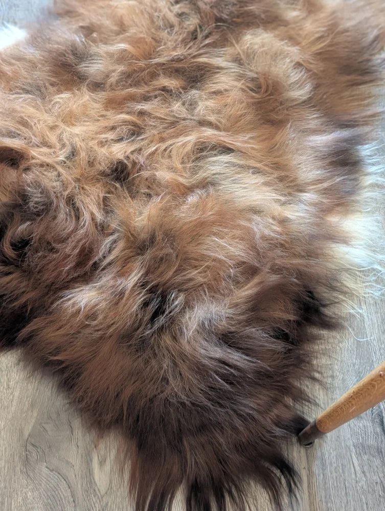 A plush naturally colored dark rusty icelandic sheepskin rug with soft wool icelandic shaggy texture 58 x 33 inches