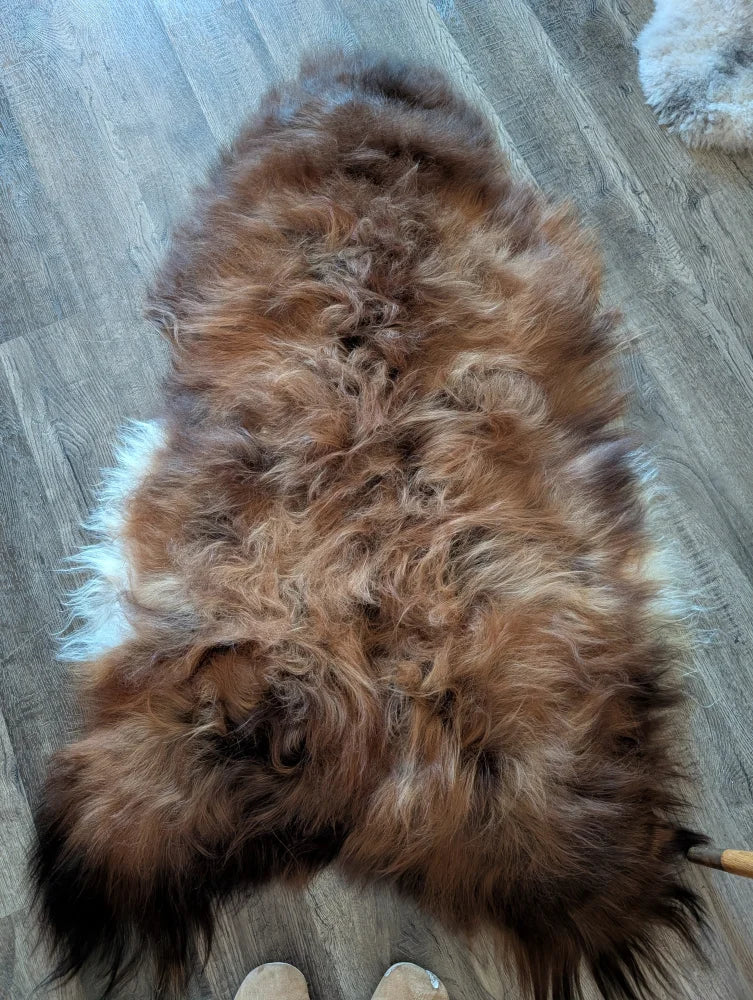 A plush icelandic sheepskin rug in natural dark rusty brown and creamy white wool icelandic texture measuring 58 by 33 inches