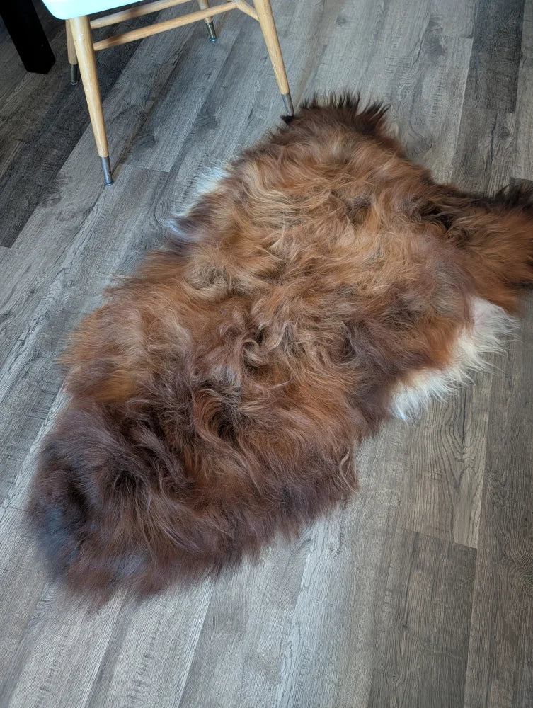 A plush irregular icelandic sheepskin rug in dark rusty brown and creamy white wool icelandic fur measuring 58 x 33 inches