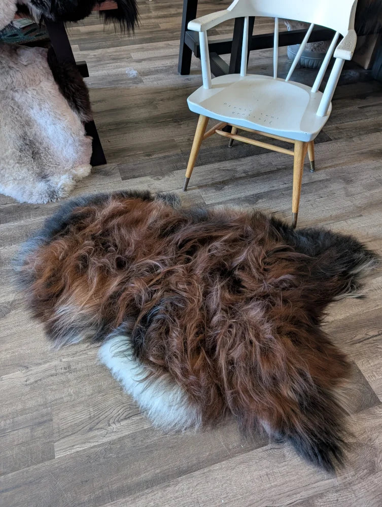 A massive natural dark rusty icelandic sheepskin rug with plush brown black and white wool icelandic fur