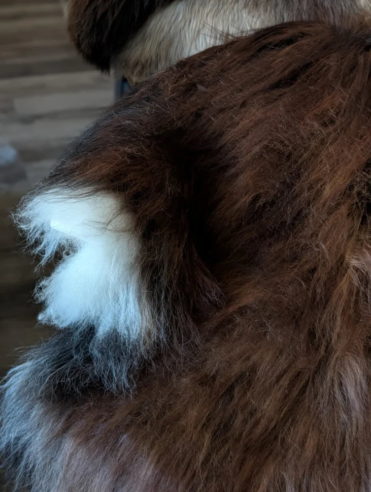 A fluffy brown and white faux fur tail on a fall12 57x40 massive natural dark rusty icelandic sheepskin rug