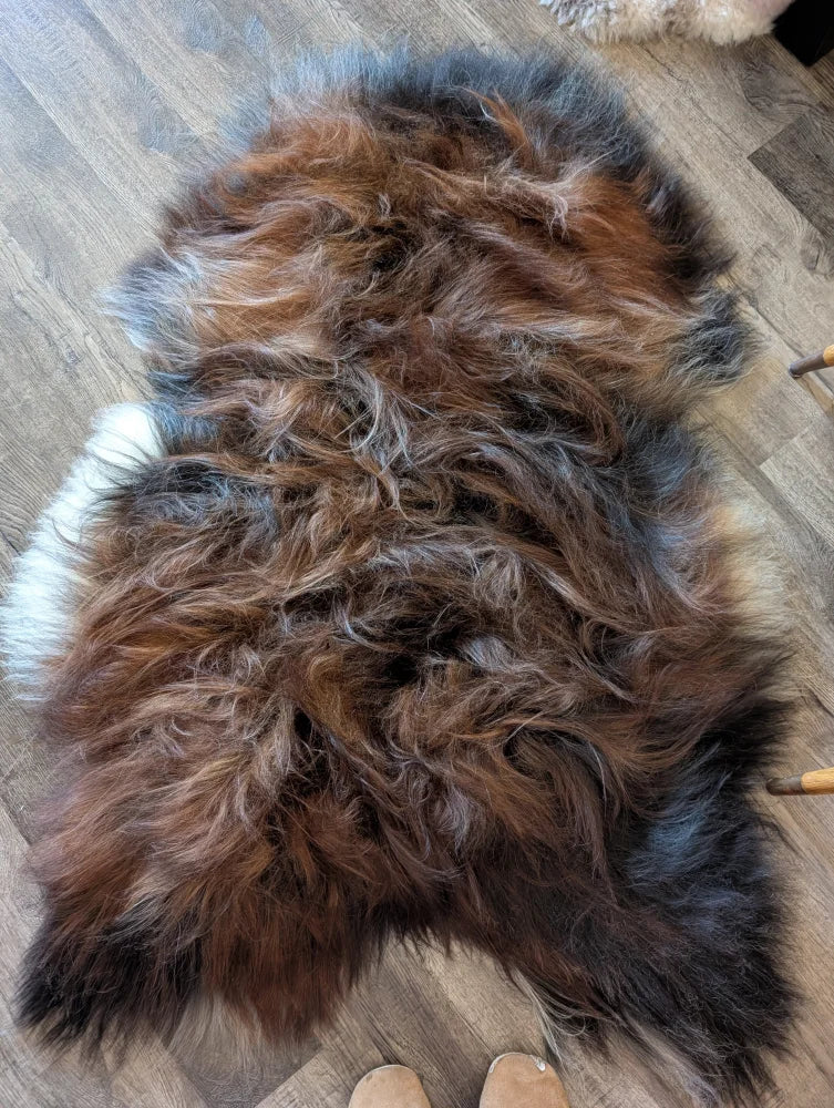 A plush irregular shaped icelandic sheepskin rug in natural dark rusty brown black and white wool icelandic fur