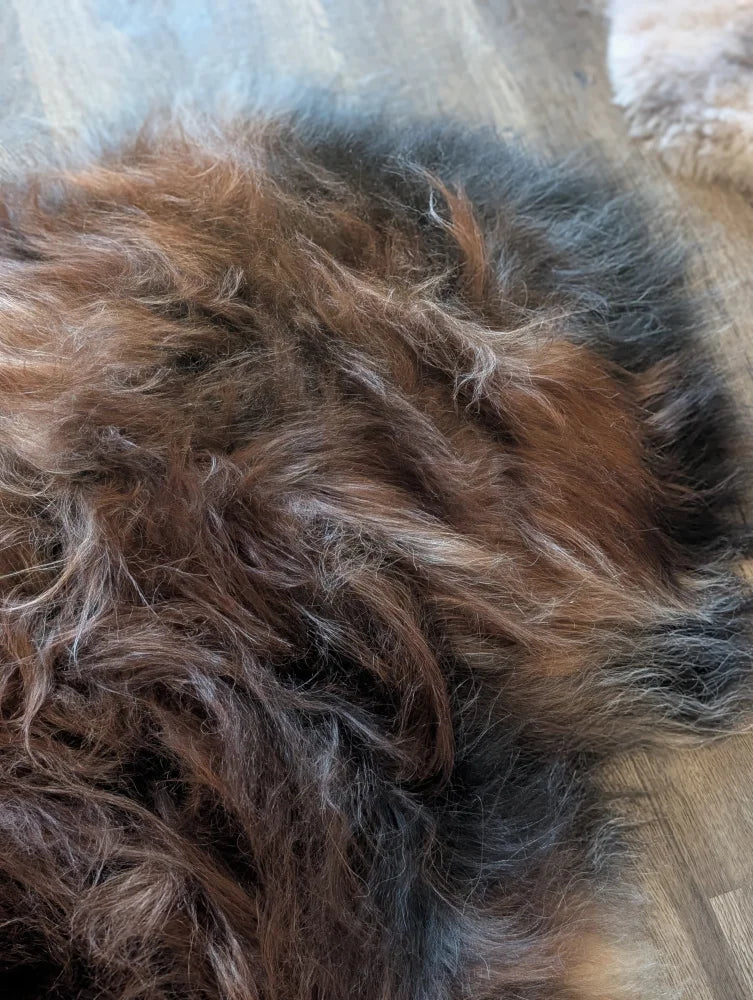 A plush multicolored icelandic sheepskin rug in dark rusty brown and gray tones made of soft wool icelandic fibers