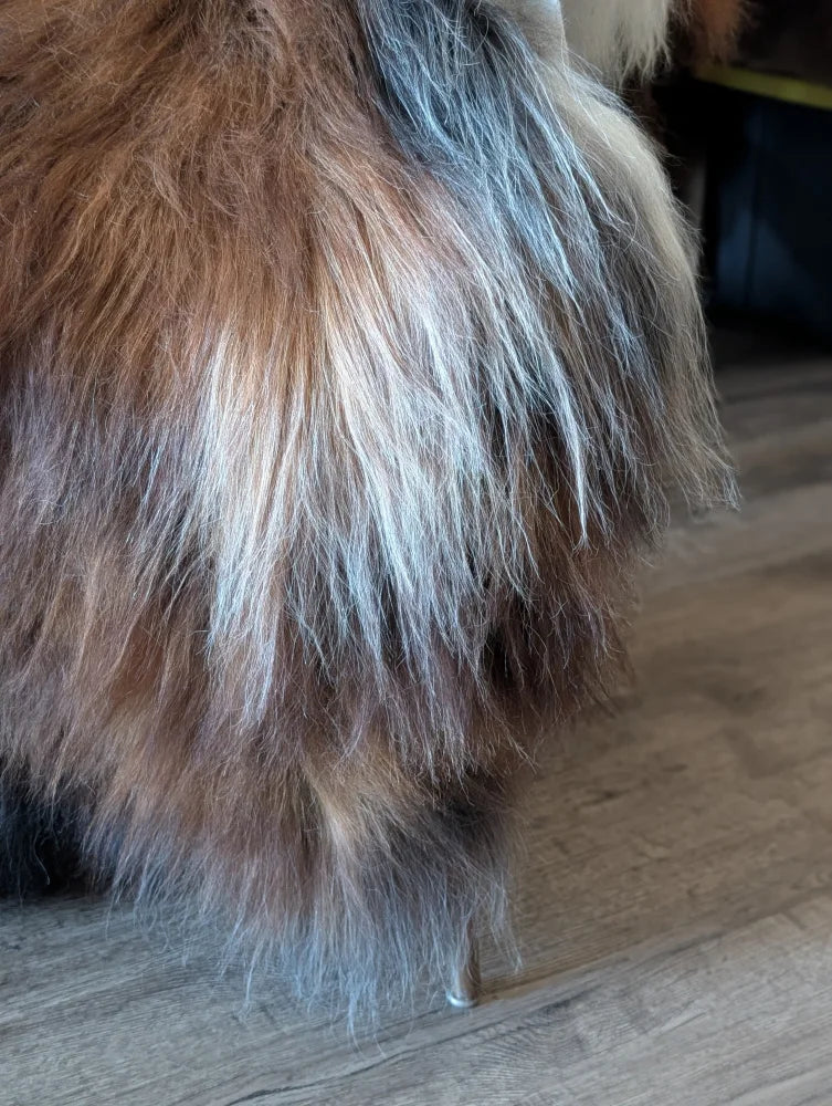 A fluffy long-haired cat resting on a massive natural dark rusty icelandic sheepskin wool icelandic rug