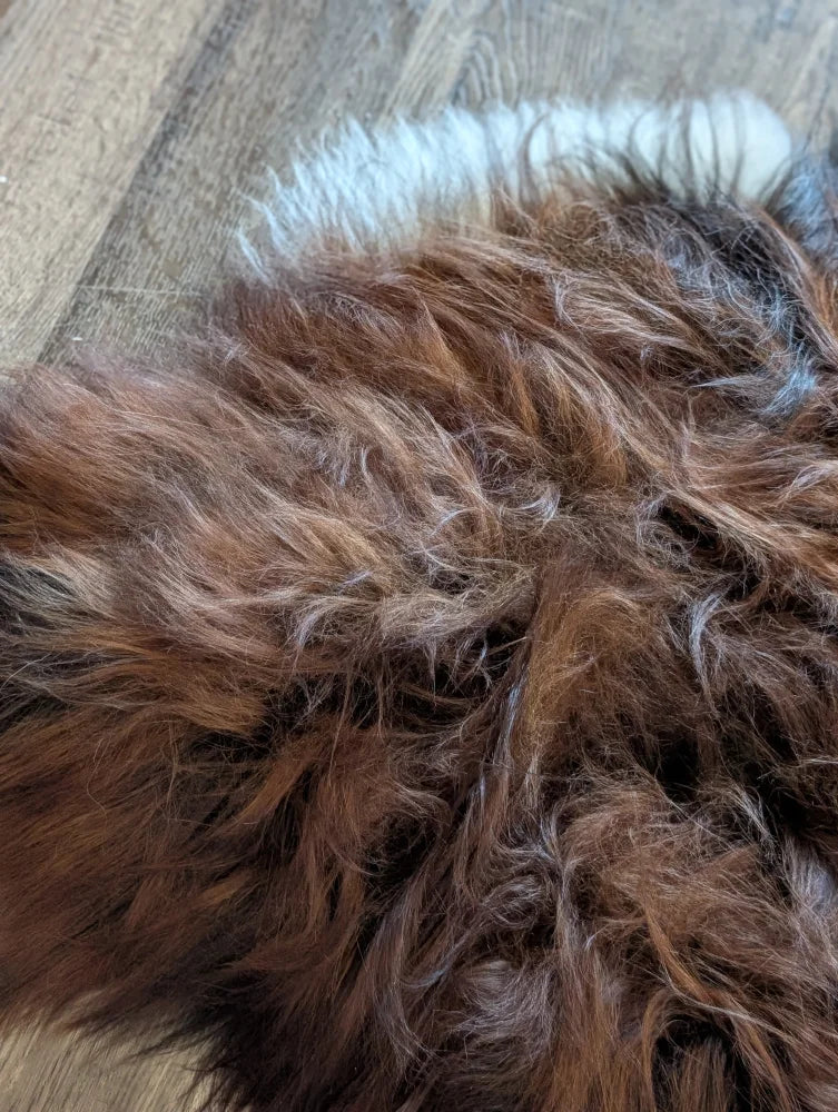 A plush shaggy brown wool icelandic sheepskin rug with soft texture and subtle lighter highlights for cozy decor