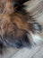 A plush multicolored icelandic sheepskin rug in natural dark rusty tones with brown black and white wool on wooden floor
