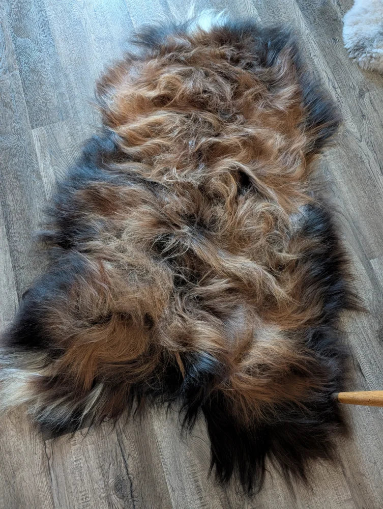 A plush tri color icelandic sheepskin rug in dark rusty tones made from natural wool icelandic fibers