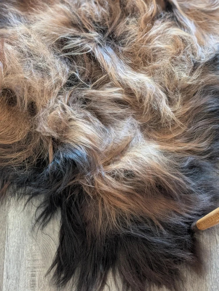 A plush multicolored wool icelandic sheepskin rug in dark rusty brown black and tan perfect for cozy fall vibes