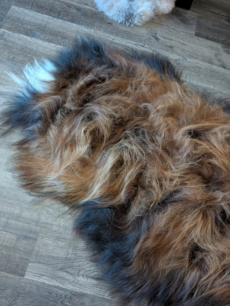 A plush multicolored icelandic sheepskin rug in brown black and white wool icelandic fur on a wooden floor