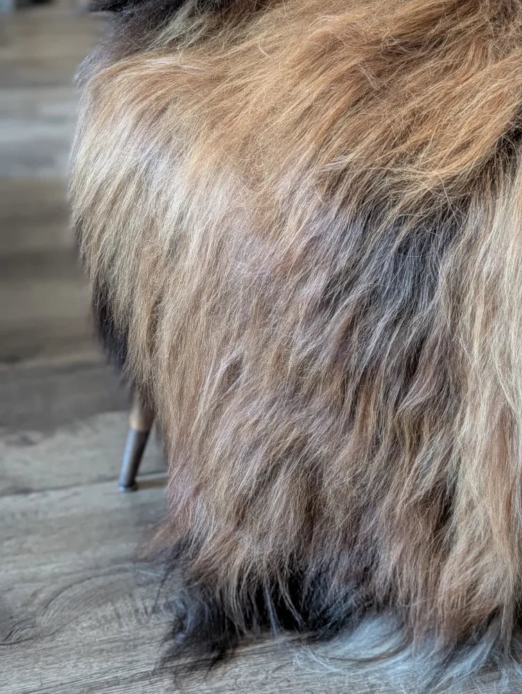A plush wool icelandic sheepskin throw in natural tan and dark brown tones perfect for cozy fall decor