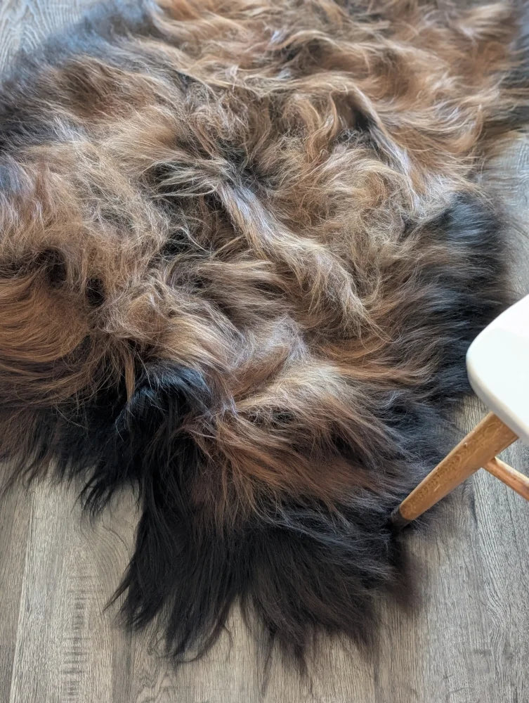 A plush tri color natural dark rusty icelandic sheepskin rug with wool icelandic fur in dark brown tan and black tones