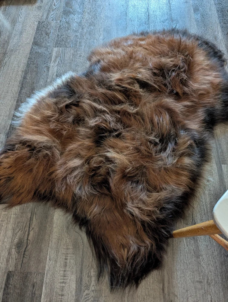 A plush irregular icelandic sheepskin rug in natural dark rusty brown black and white wool icelandic fur measuring 57 by 38 inches