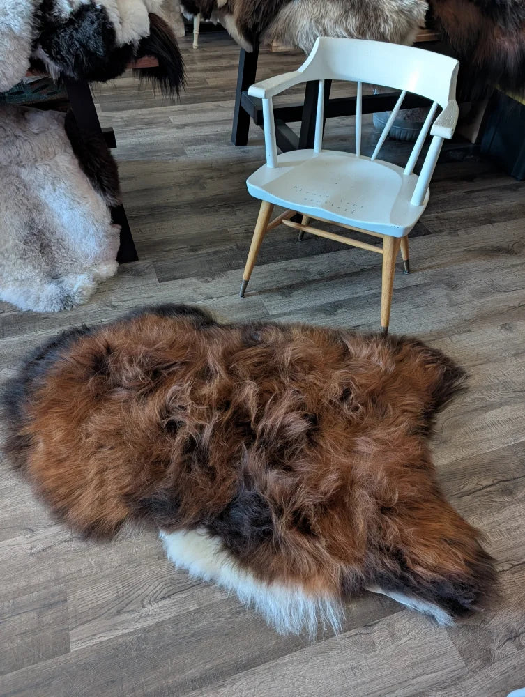 Brown and black fluffy wool icelandic sheepskin rug with a white border in natural dark rusty colors