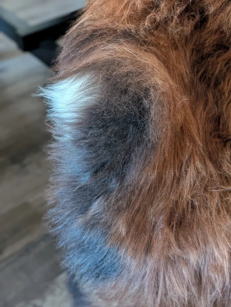 A rich brown plush faux-fur coat with wool icelandic texture and subtle gray and white edges perfect for fall wear