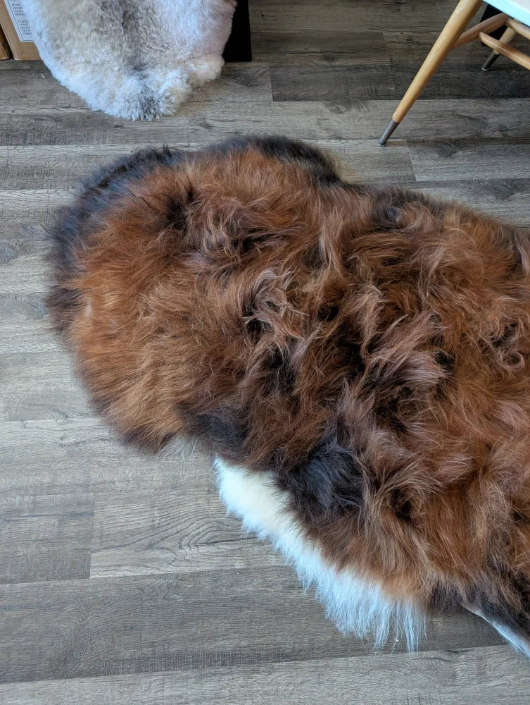 A plush tri-color icelandic sheepskin rug in natural dark rusty brown black and white with soft wool texture