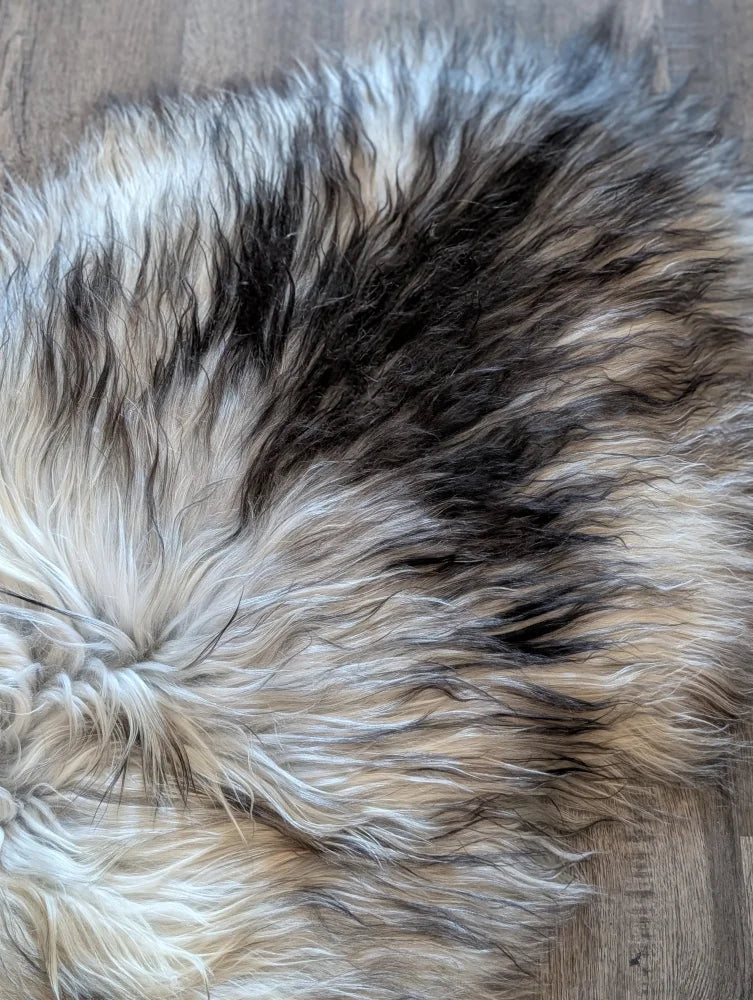 A plush fall 2 58 x 30 massive icelandic sheepskin rug with long wool icelandic cream black and brown fur