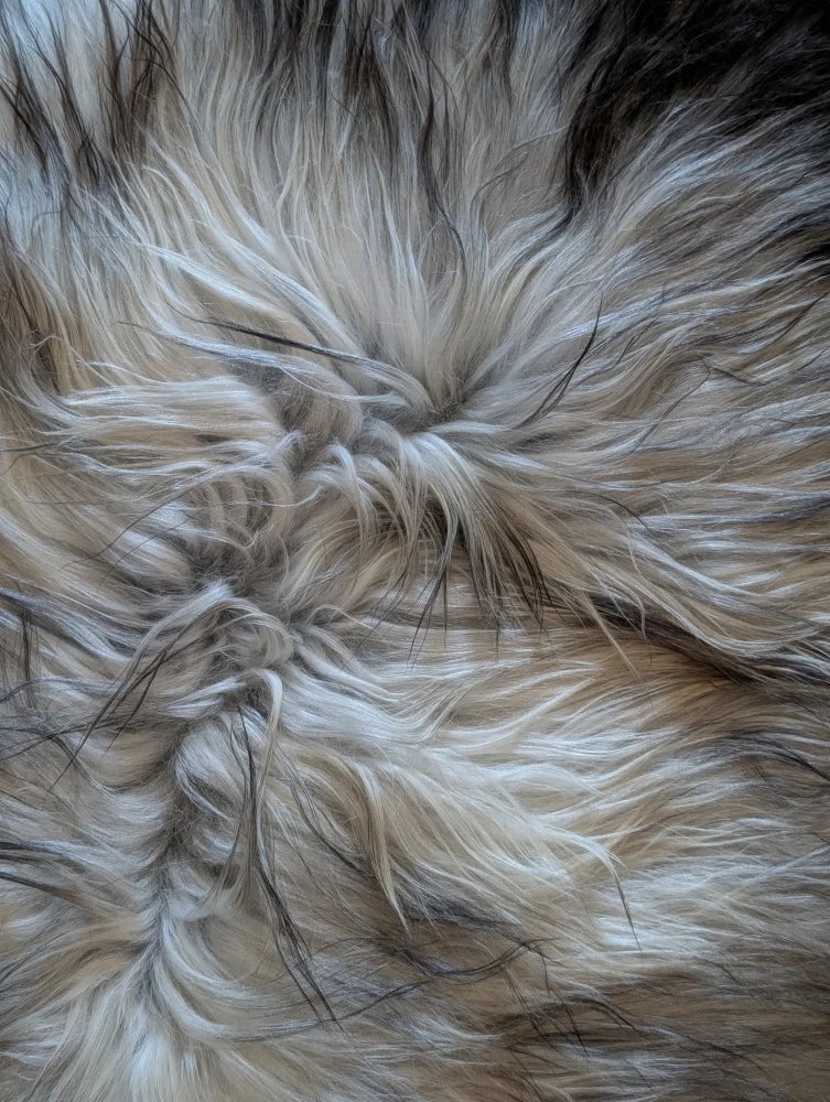 A plush fall2 58 x 30 icelandic sheepskin rug with natural grey and creamy white long wool icelandic texture