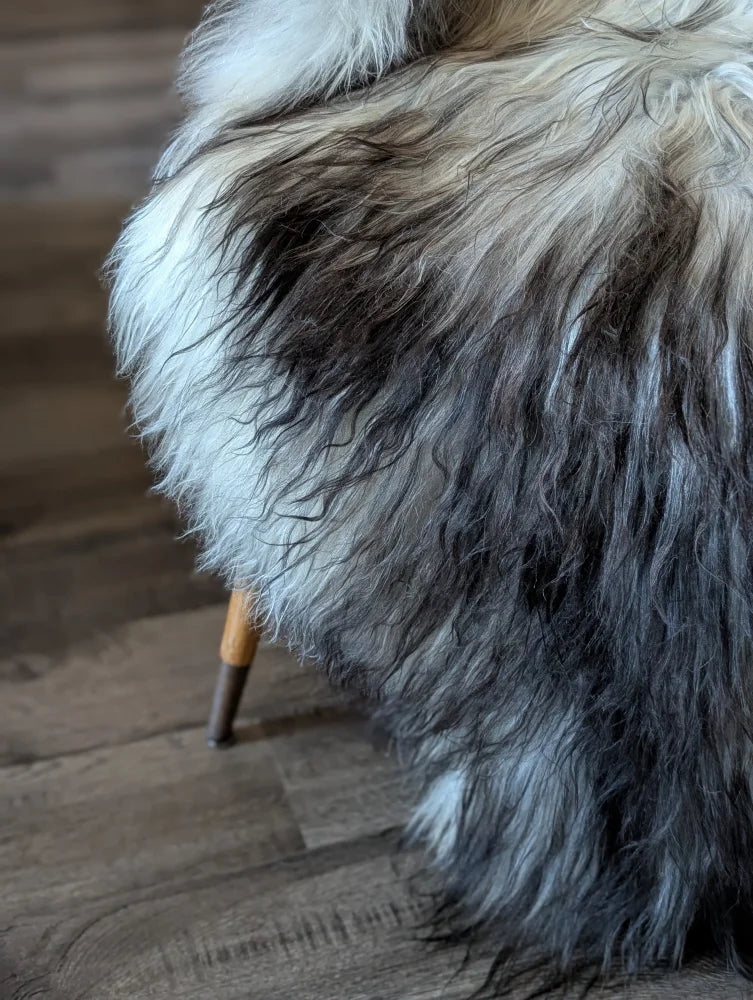 A plush long wool icelandic throw in gradient white gray and black measuring 58 by 30 inches perfect for cozying up