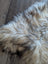 A plush 58 x 30 inch long wool icelandic sheepskin rug with natural cream beige and dark brown shaggy fur