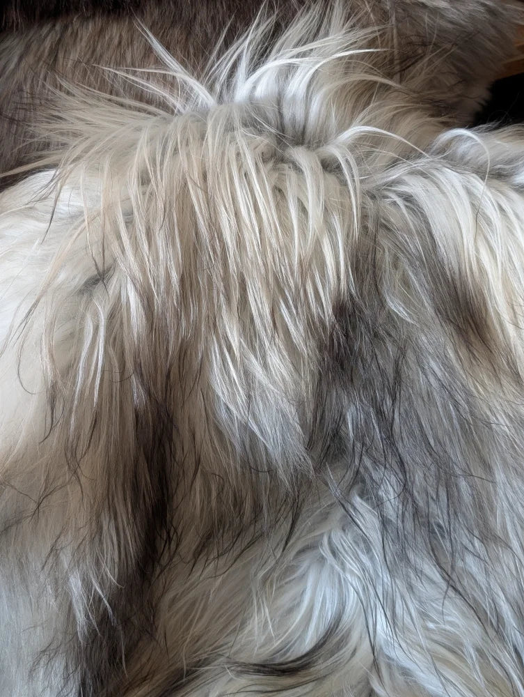 A plush long wool icelandic sheepskin blanket in natural grey and white tones perfect for cozy fall vibes