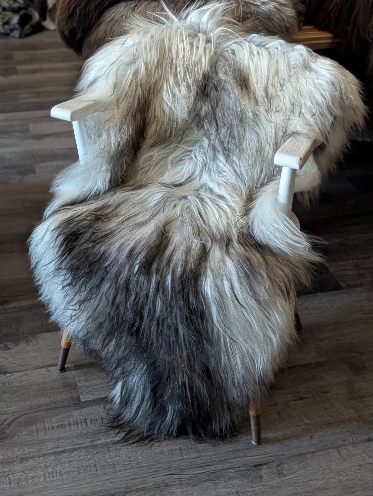 A plush fall2 58 x 30 inch massive icelandic sheepskin rug with long wool icelandic natural grey fur on wooden chair back