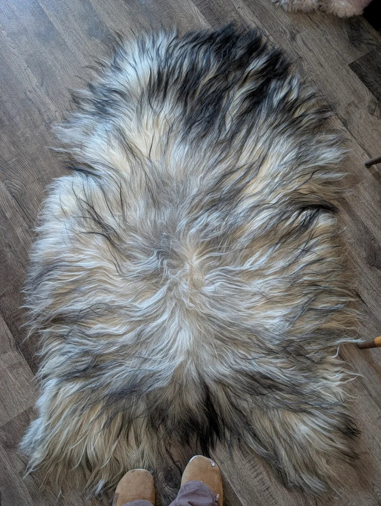 A plush naturally colored long wool icelandic sheepskin rug with black gray and cream fur 57 by 37 inches