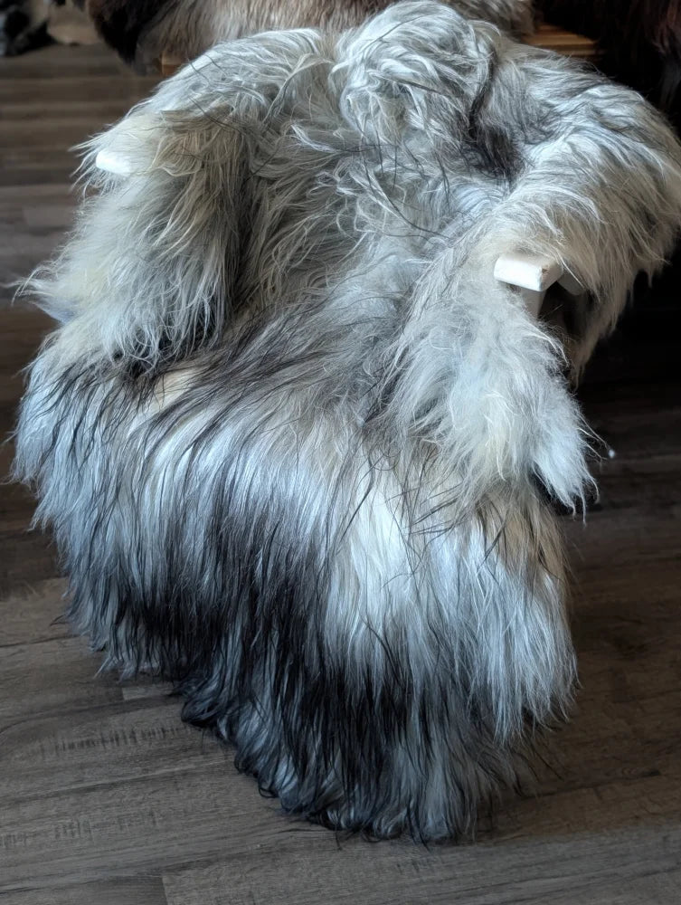 A fluffy long-haired dog stands on a wooden floor next to a massive icelandic sheepskins natural grey wool icelandic rug
