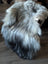A fluffy long-haired dog stands on a wooden floor next to a massive icelandic sheepskins natural grey wool icelandic rug