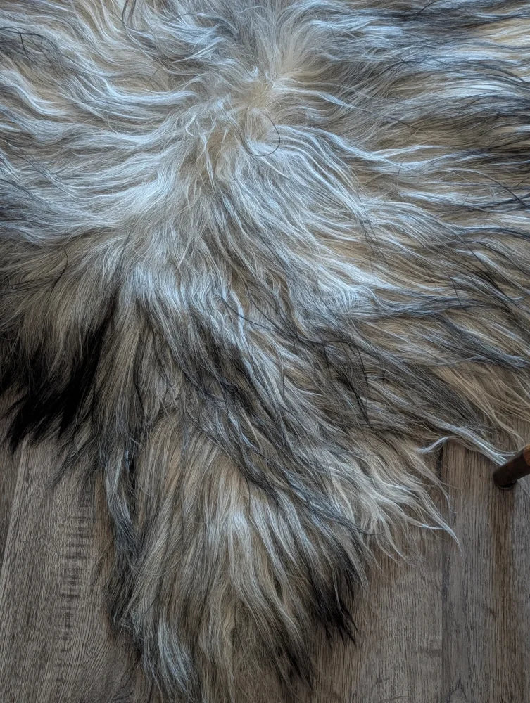 A plush natural grey icelandic sheepskin rug with long wool icelandic strands in silver gray and black tones