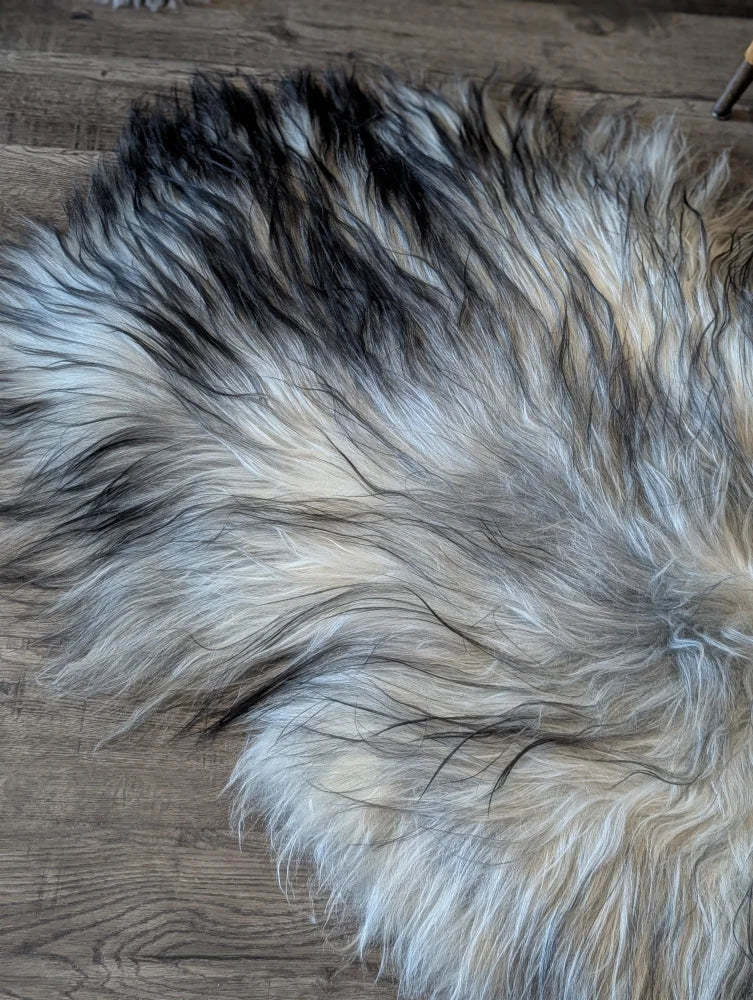 A plush fall 3 57 x 37 inch massive icelandic sheepskin rug with long wool icelandic natural grey tones